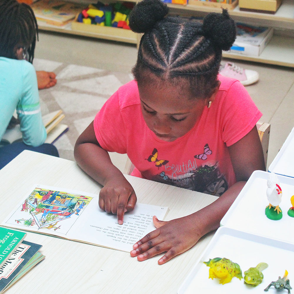 Elementary - Early Years Montessori Preschool in Lekki